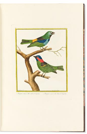 (BIRDS.) Francois Nicolas Martinet; and Edme Louis Daubenton. Bound volume of 100 large paper hand-colored engraved plates from